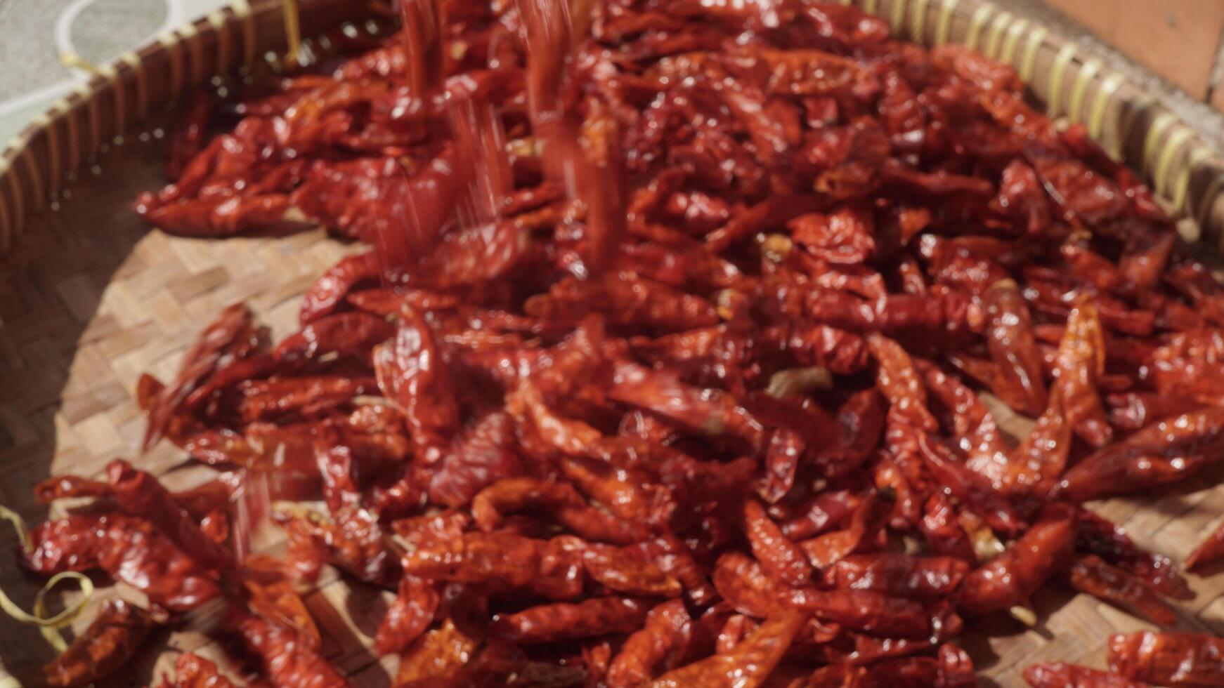 Close up small dried chilies dried in the sun on a bamboo tray photo