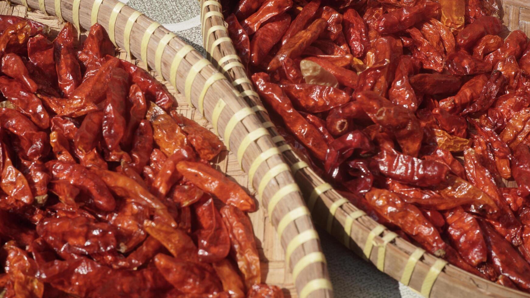 Close up small dried chilies dried in the sun on a bamboo tray photo