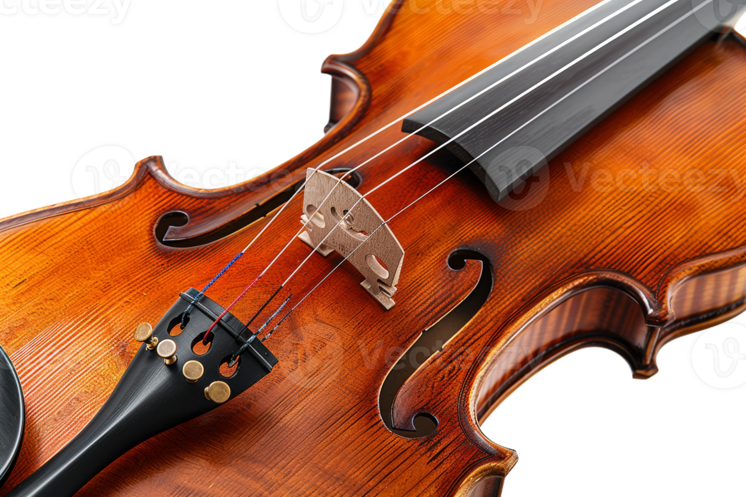 Close-Up of a Violins Body and Strings png