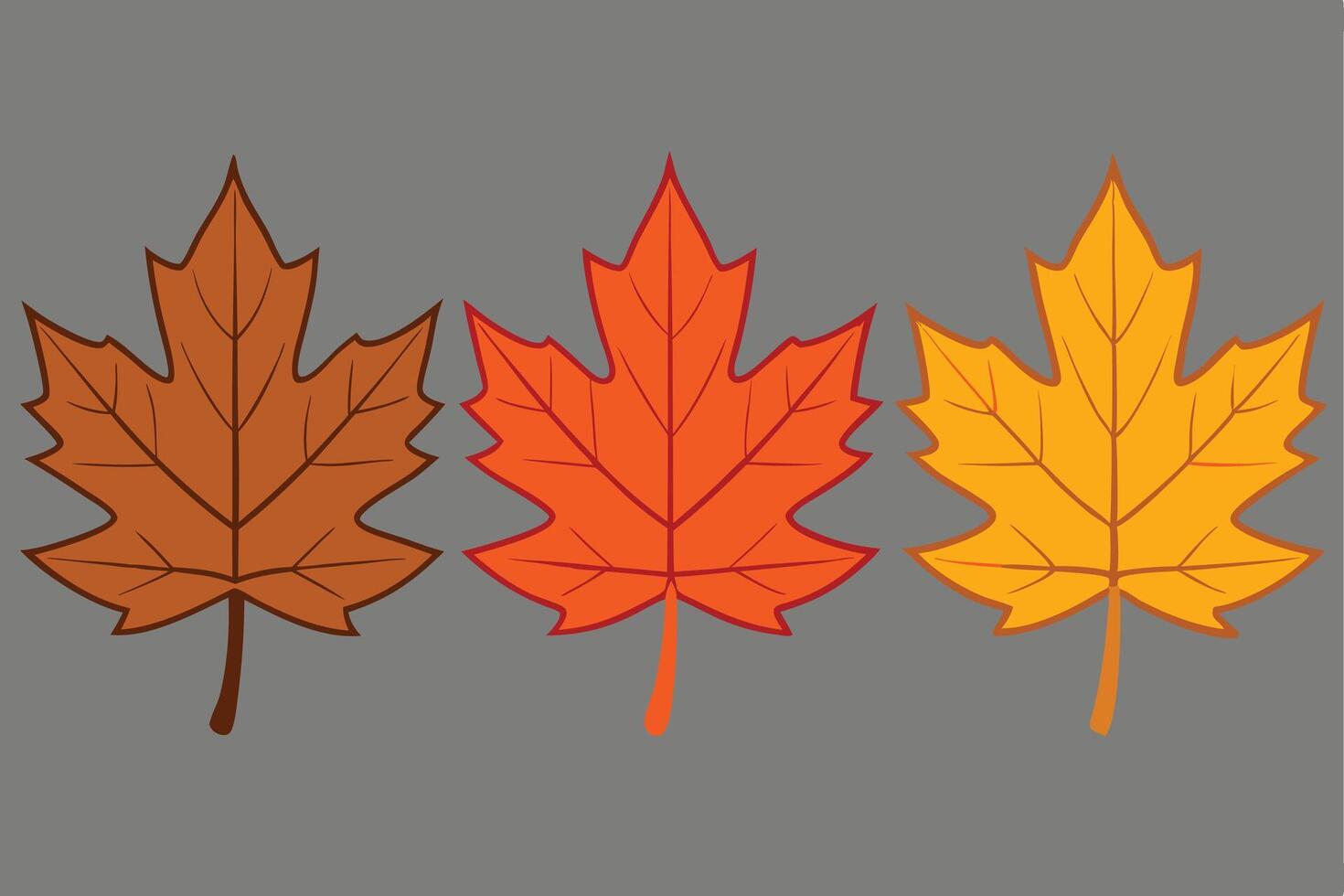 Maple Leaf Illustration Cartoon, Clipart, Line Art Design. Maple leaf illustration cartoon, clipart, and line art design for digital prints. vector