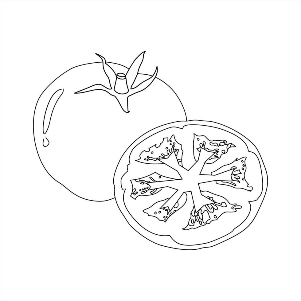 tomato illustration in line drawing isolated on a white background. design element design illustrations of tomatoes that can be used to coloring page with a vegetable theme vector