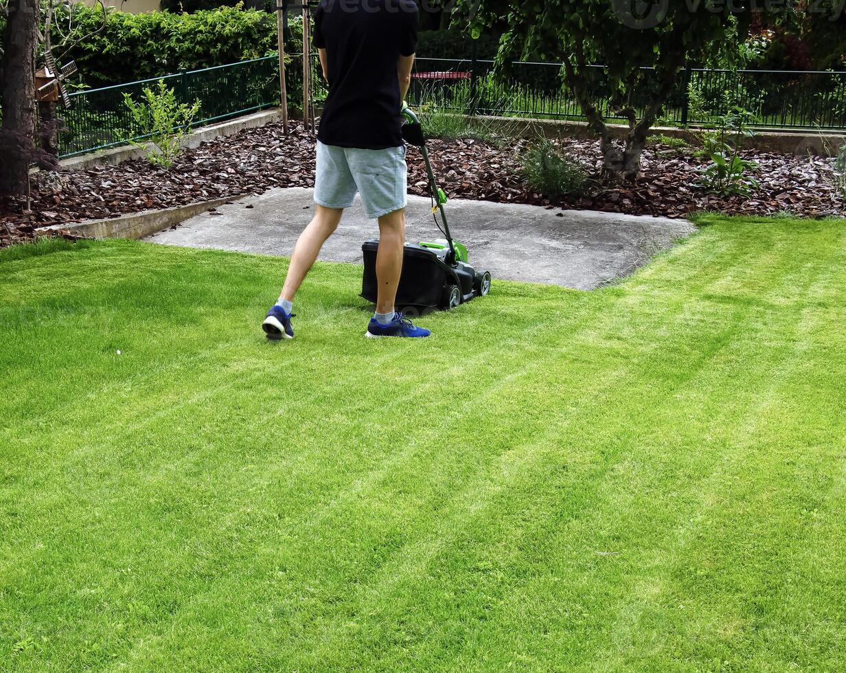 A young man is mowing a lawn with a lawn mower in his beautiful green floral summer garden photo