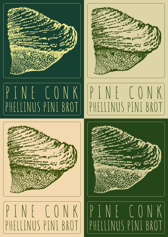 Set of drawing PINE CONK in various colors. Hand drawn illustration. The Latin name is PHELLINUS PINI BROT. vector