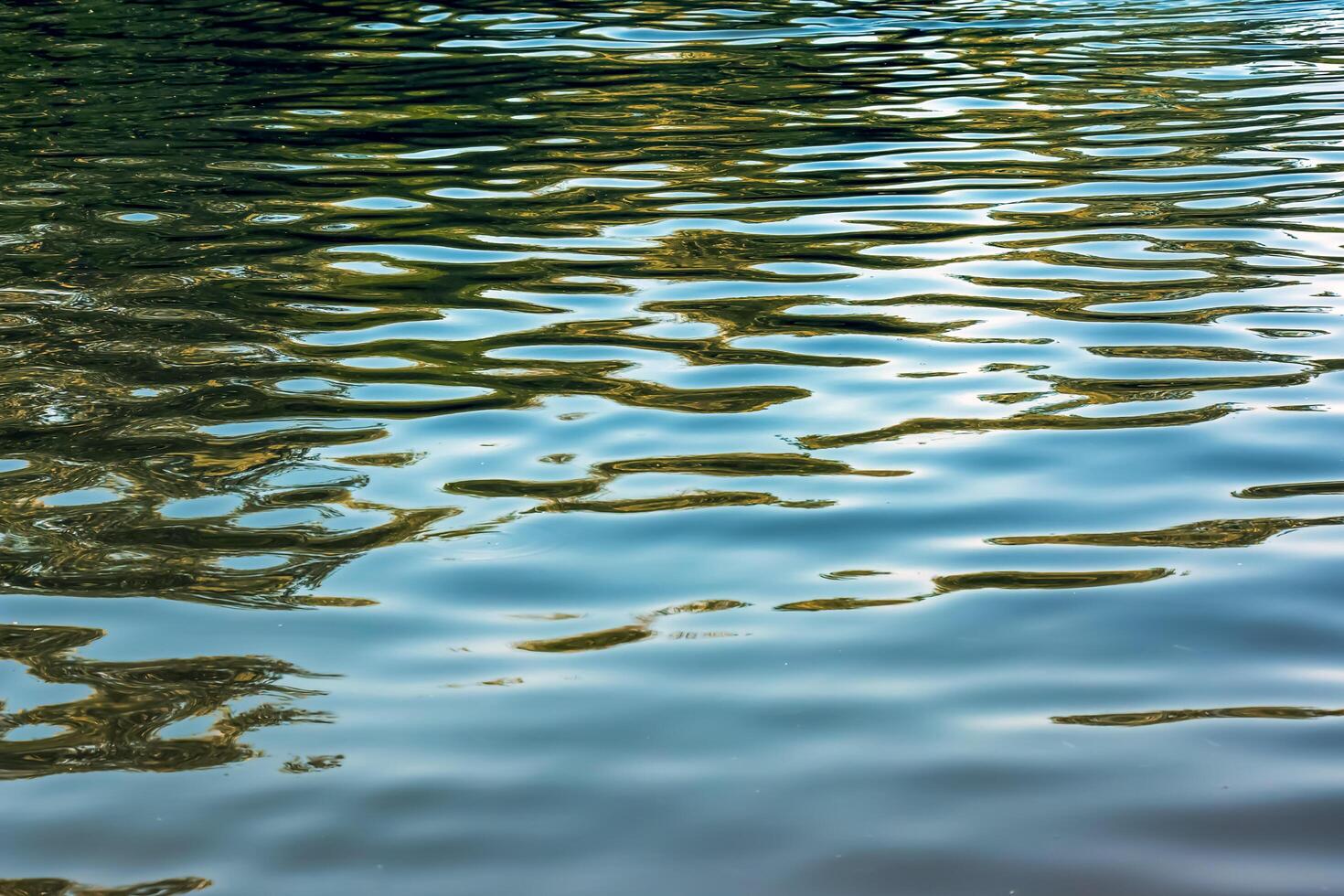Water ripple texture background. Wavy water surface during sunset, golden light reflecting in the water photo