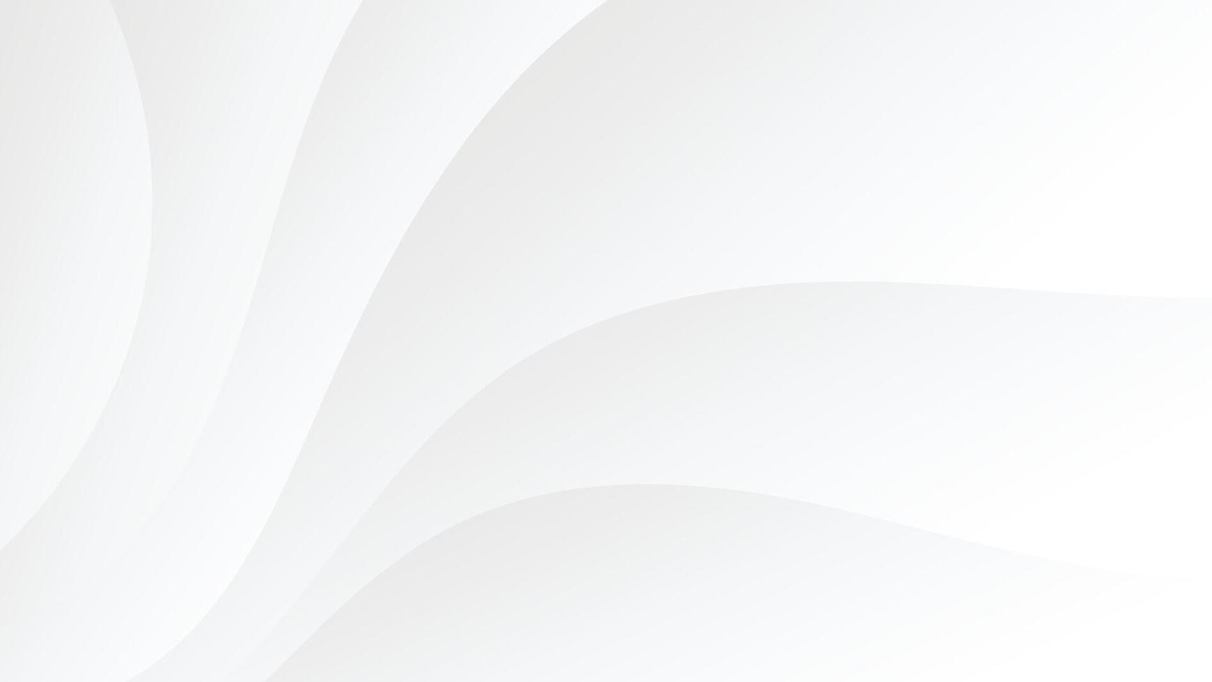abstract white background with color gradient and modern line art decoration vector