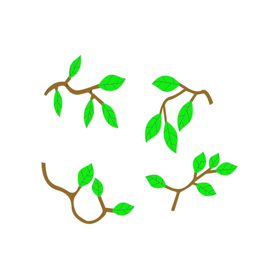 leaves and tree twigs vector