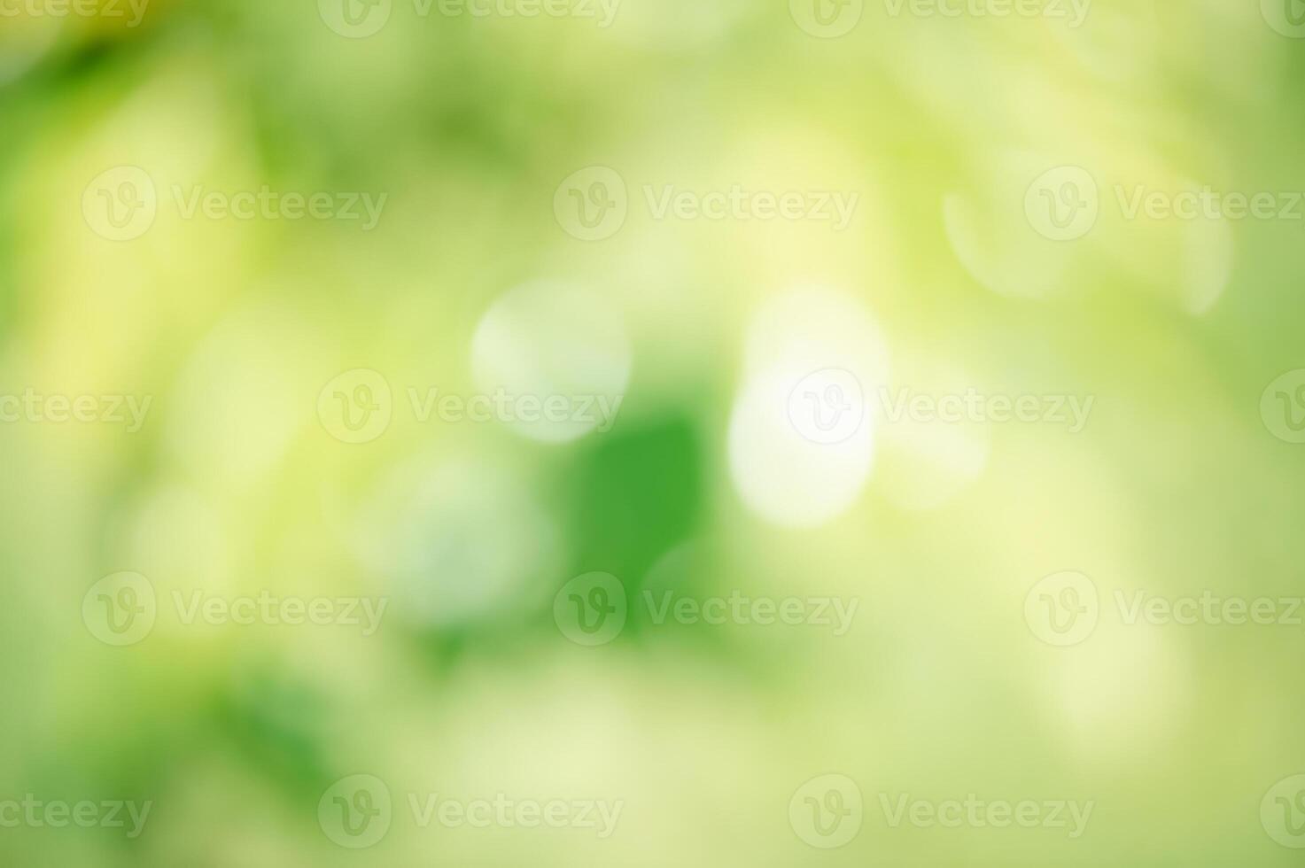 Defocus light bokeh. Abstract natural background of blurred leaves and raindrops. photo