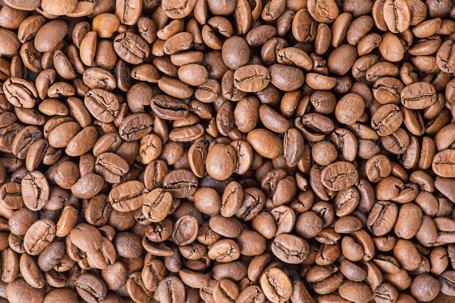 Roasted coffee beans as a background. Coffee has many beans photo