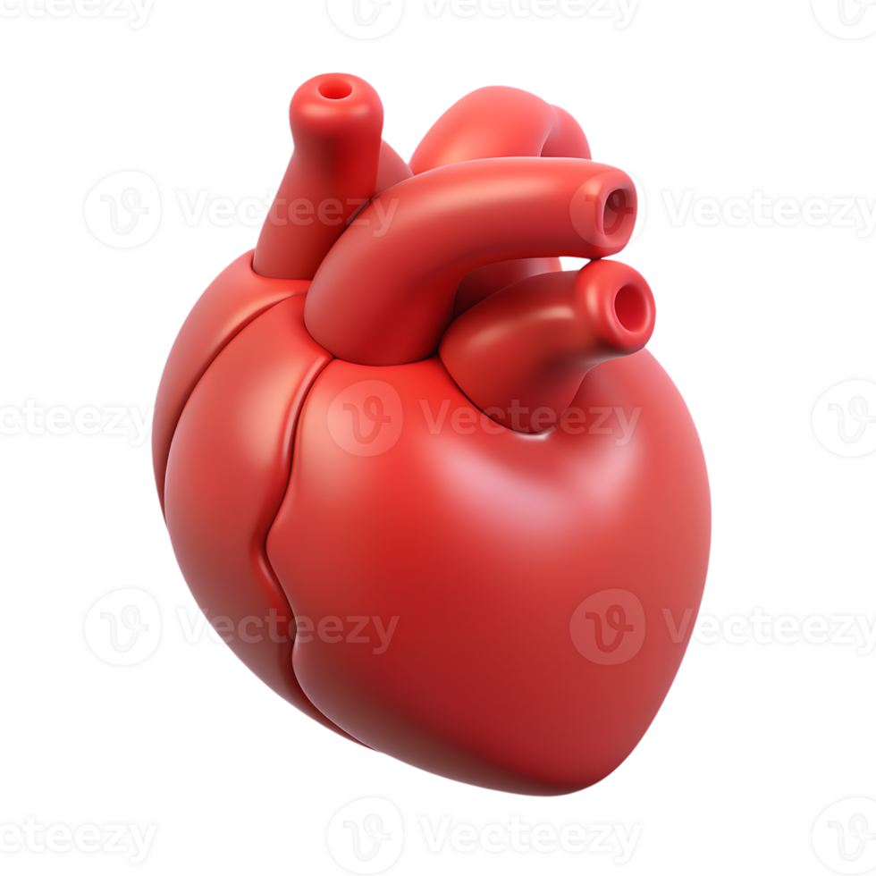 Cartoon human heart anatomy with blood vessels 3d icon isolated on the transparent background png