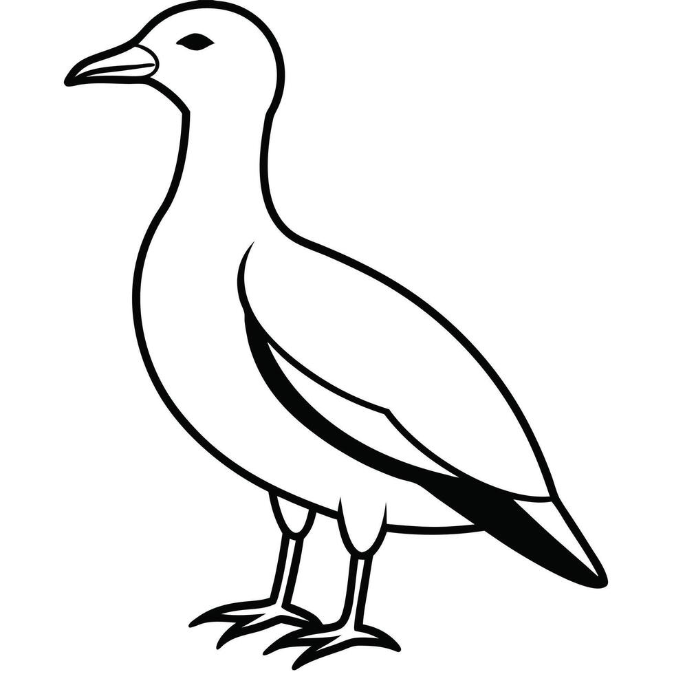 bird silhouette with white background vector