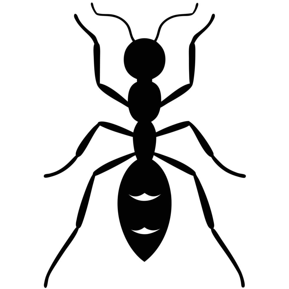 Ant silhouette with white background vector