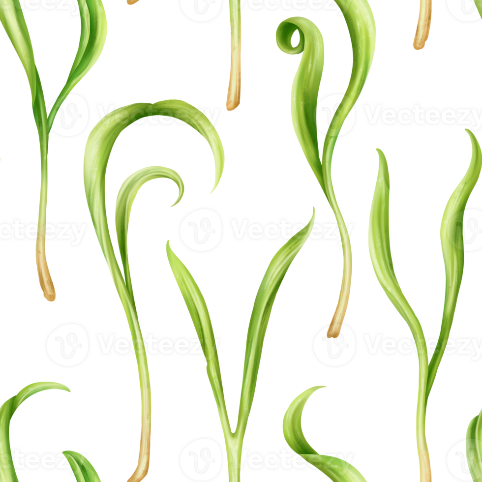 Seamless pattern with steam of micro-green spinach. Young seed seedlings, farming vegetable, horticulture and cultivation. Legumes for gardening, ingredients for cooking. Digital isolated illustration png