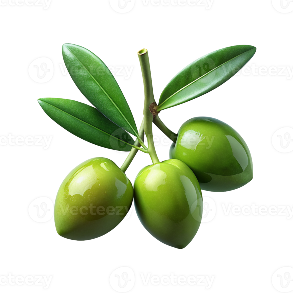 olives on a branch with leaves on a transparent background png