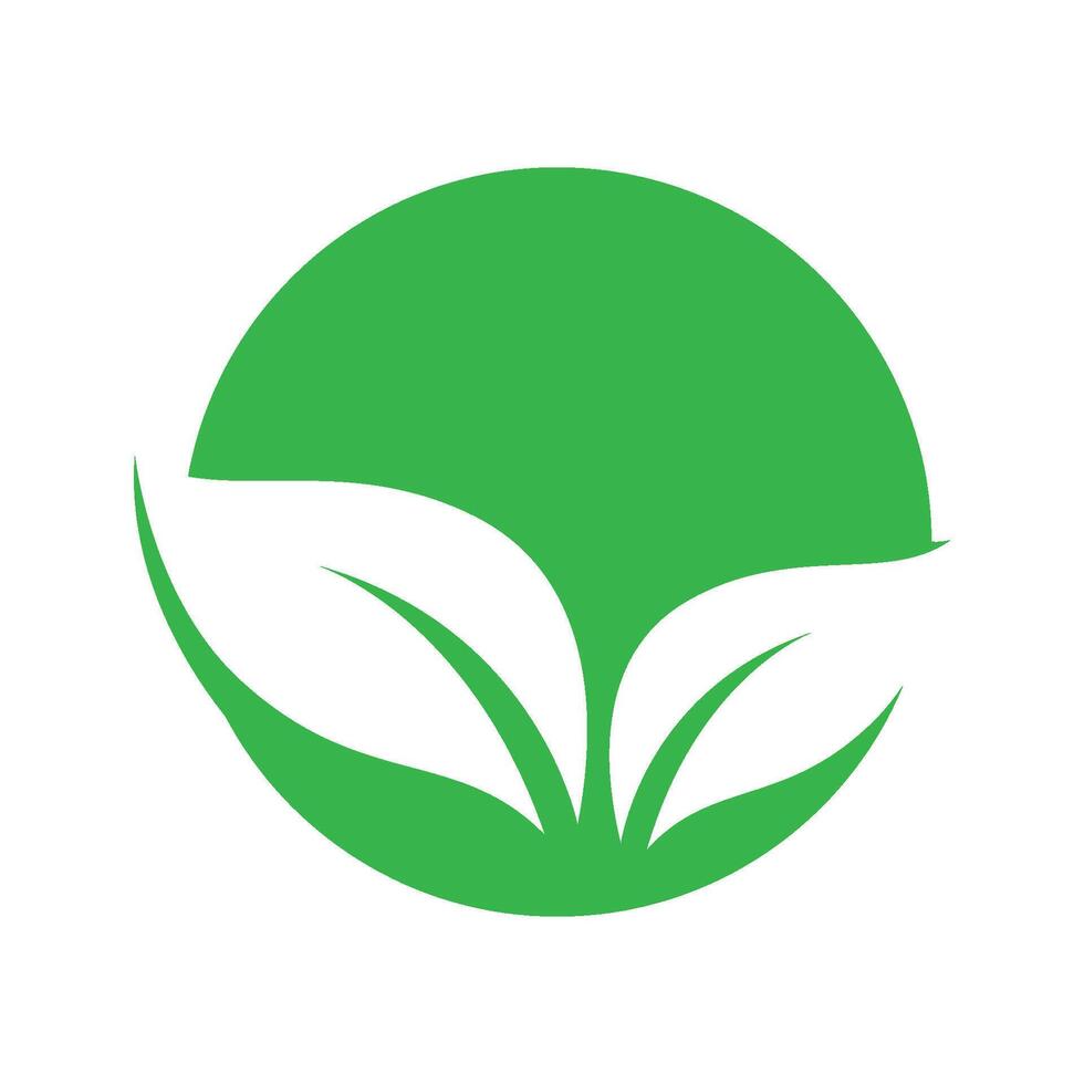 creative green leaf logo vector