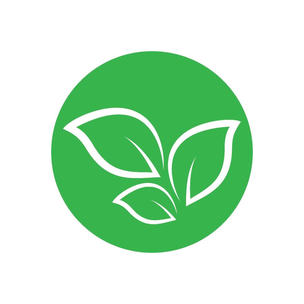 green leaf shape logo illustration vector