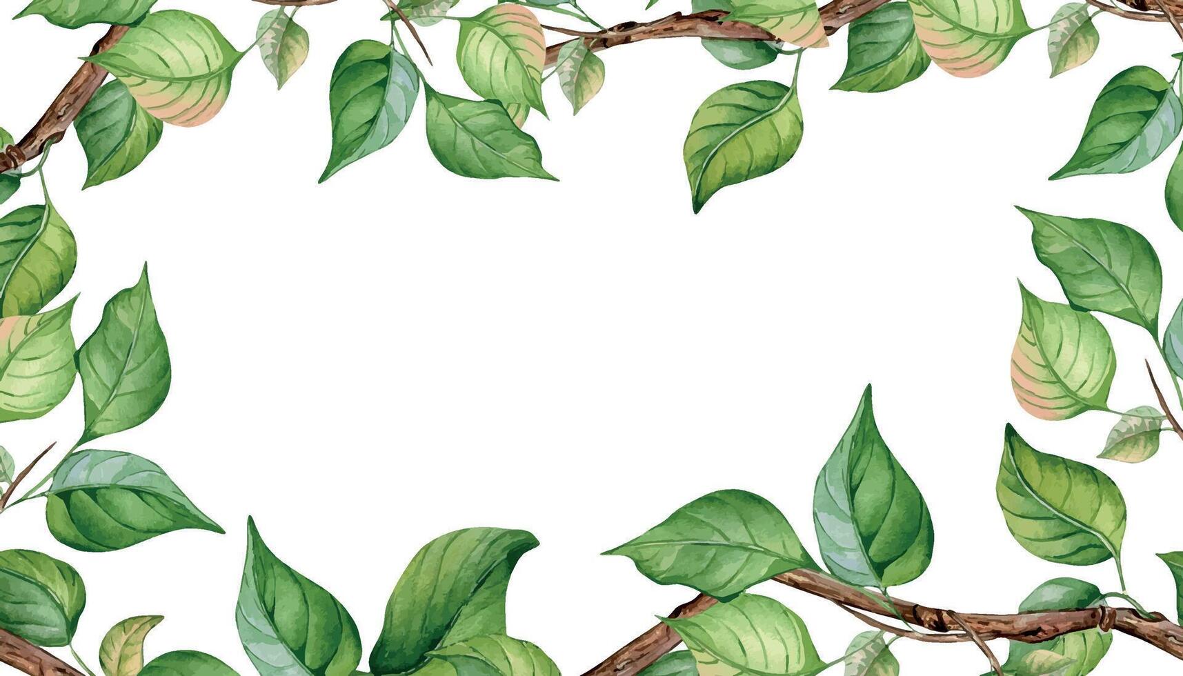 Watercolor frame with tree branch and gentle leaves isolated on white. Floral banner with fruit tree branch hand drawn. Element for wedding invitation, card, packaging, label product. vector