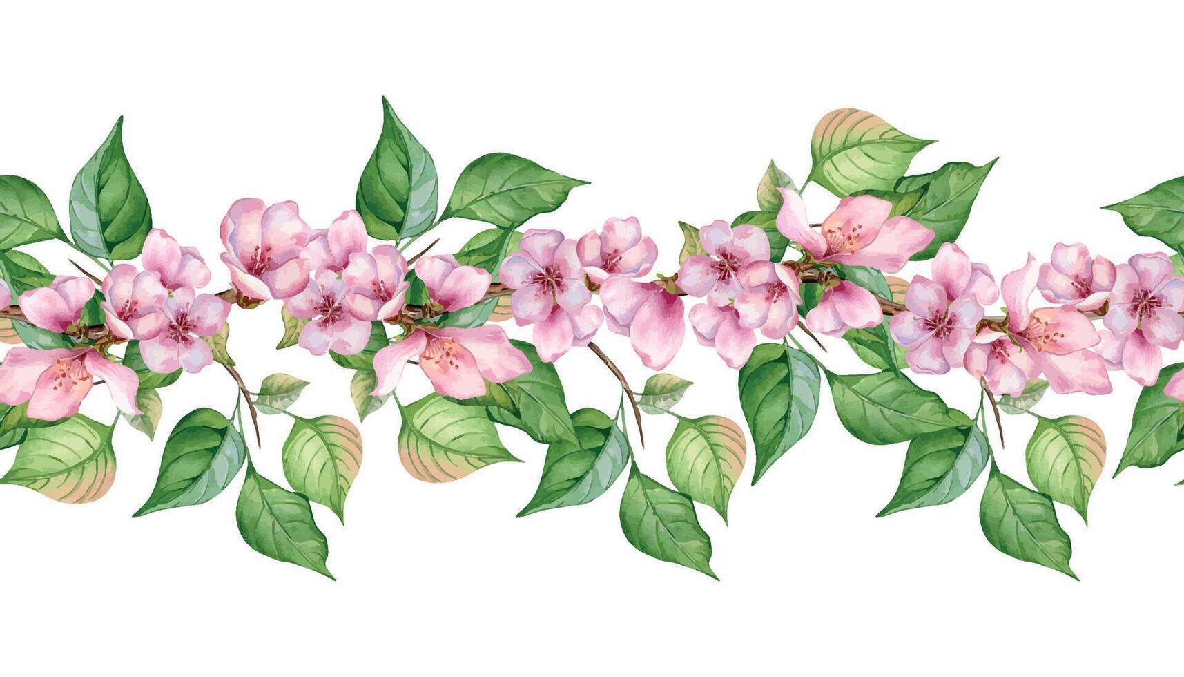 Watercolor seamless board with pink flowers of peach tree isolated on white. Floral banner with blossom branch hand drawn. Element for wedding invitation, card, packaging, label product. vector