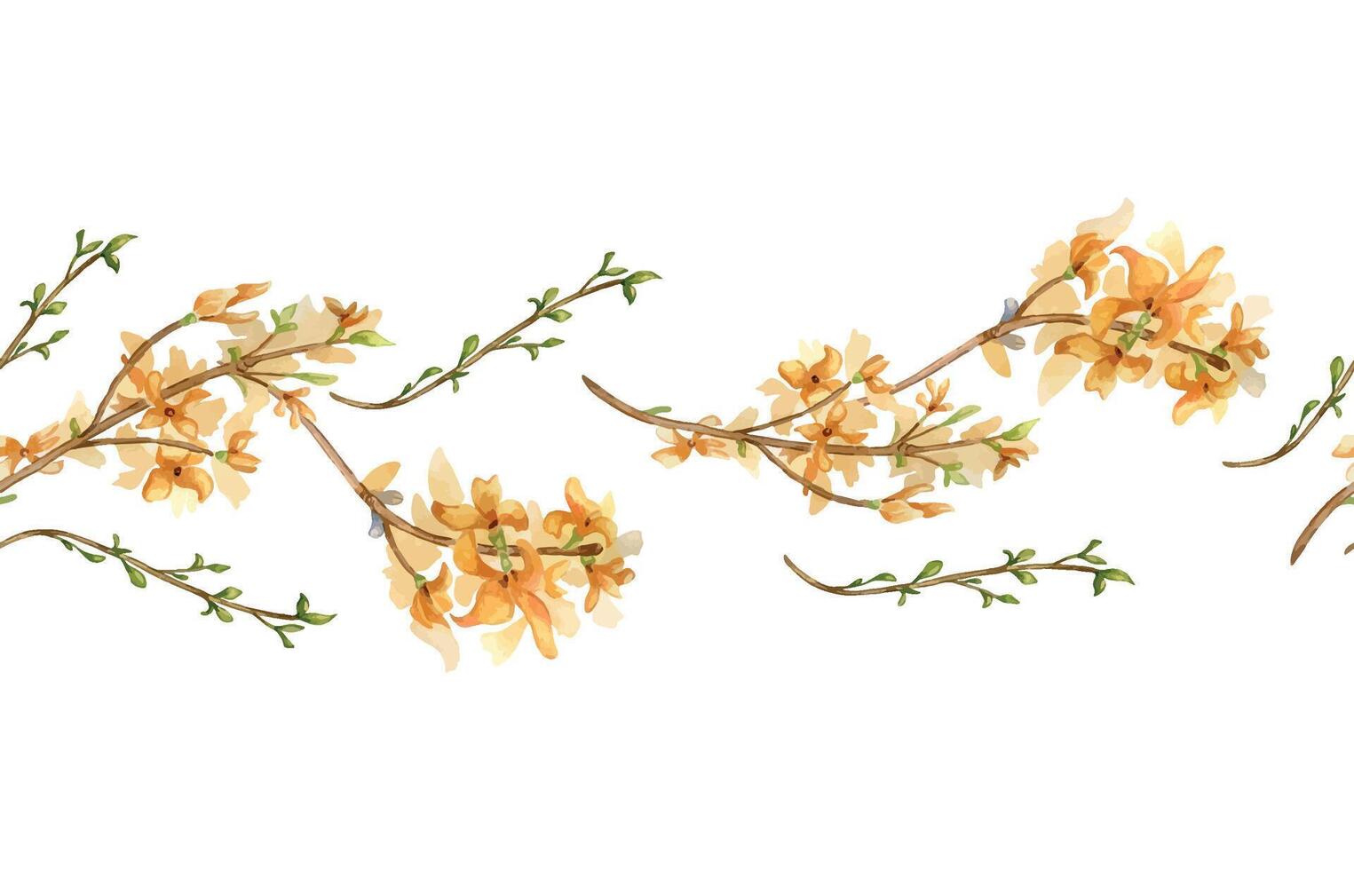 Seamless border of watercolor first yellow spring flowers isolated on white. Floral template frame. Blooming forsythia branch hand drawn. Flower sketch for greeting card, package, label vector