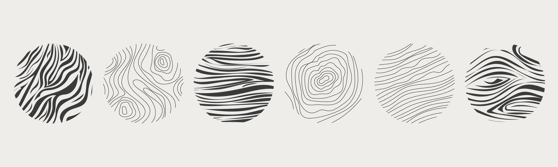 Wood texture material doodle hand drawn line. Tree trunk geometric curve and wave contour. Rings and circles. vector
