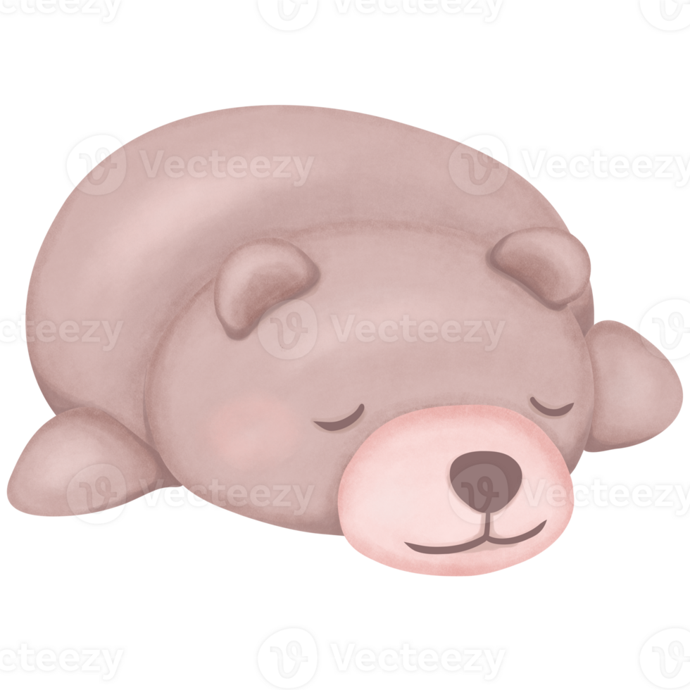 Seal cartoon with a sleeping pose watercolor style illustration png