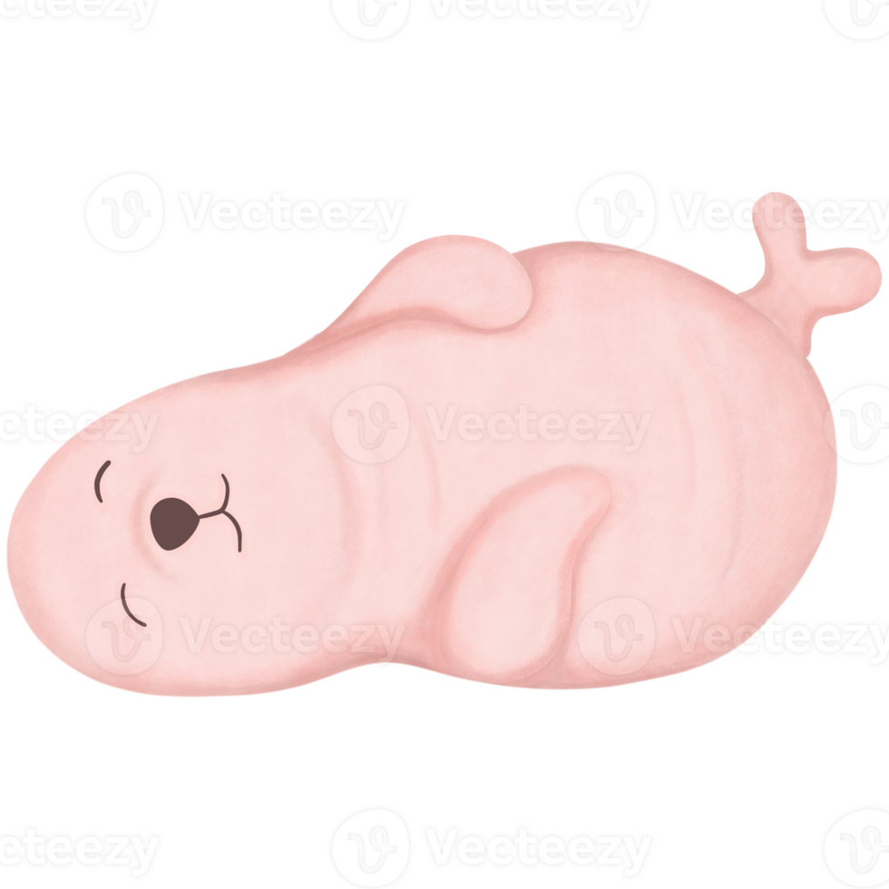 Seal cartoon with a comfortable and happy sleeping pose png