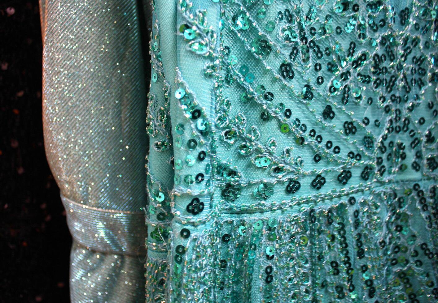 Close Up Detail of Formal Sequined Dresses photo