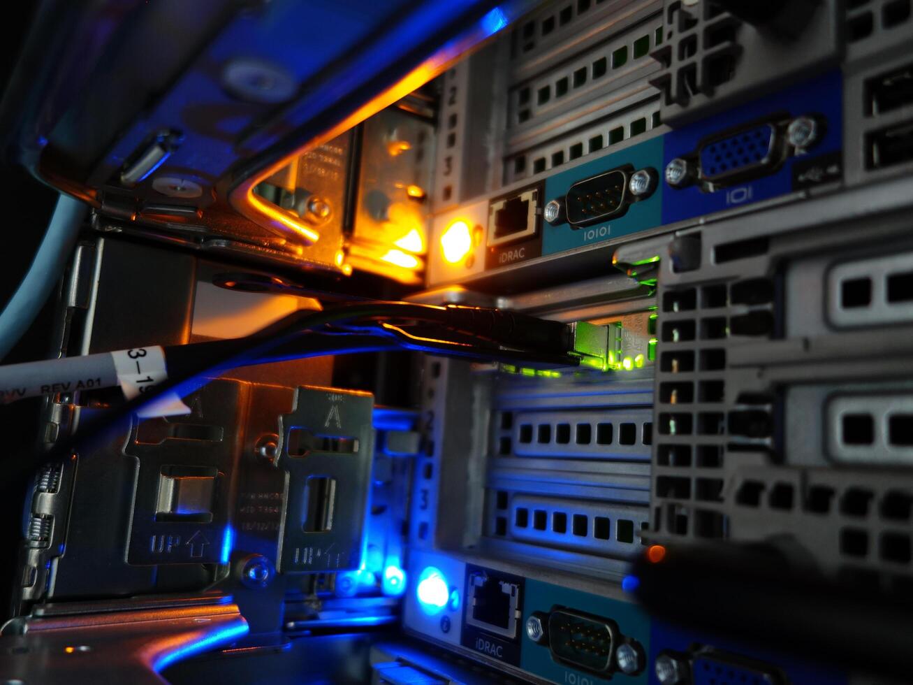 network cables connected to switch - closeup of data center hardware technology photo