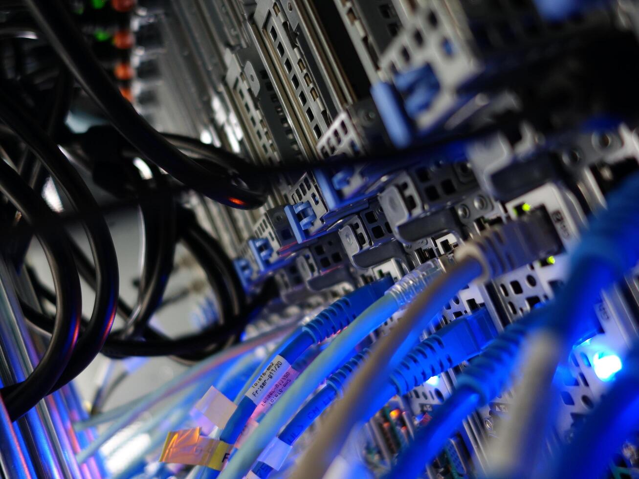 network cables connected to switch - closeup of data center hardware technology photo