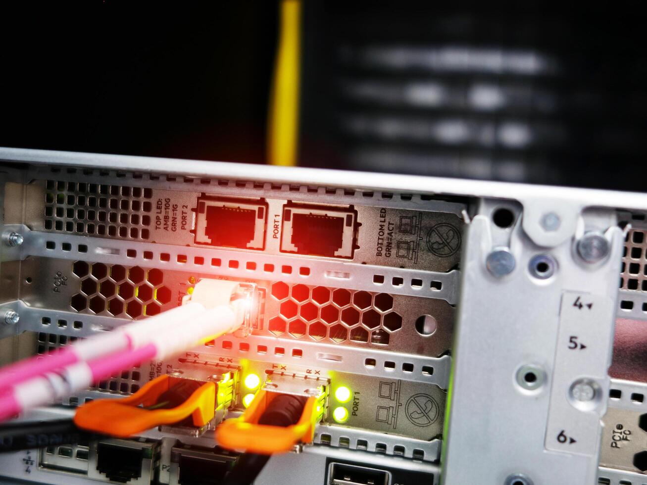 network cables connected to switch - closeup of data center hardware technology photo