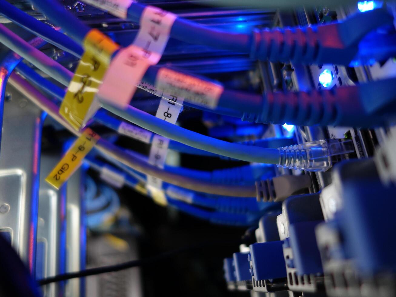network cables connected to switch - closeup of data center hardware technology photo