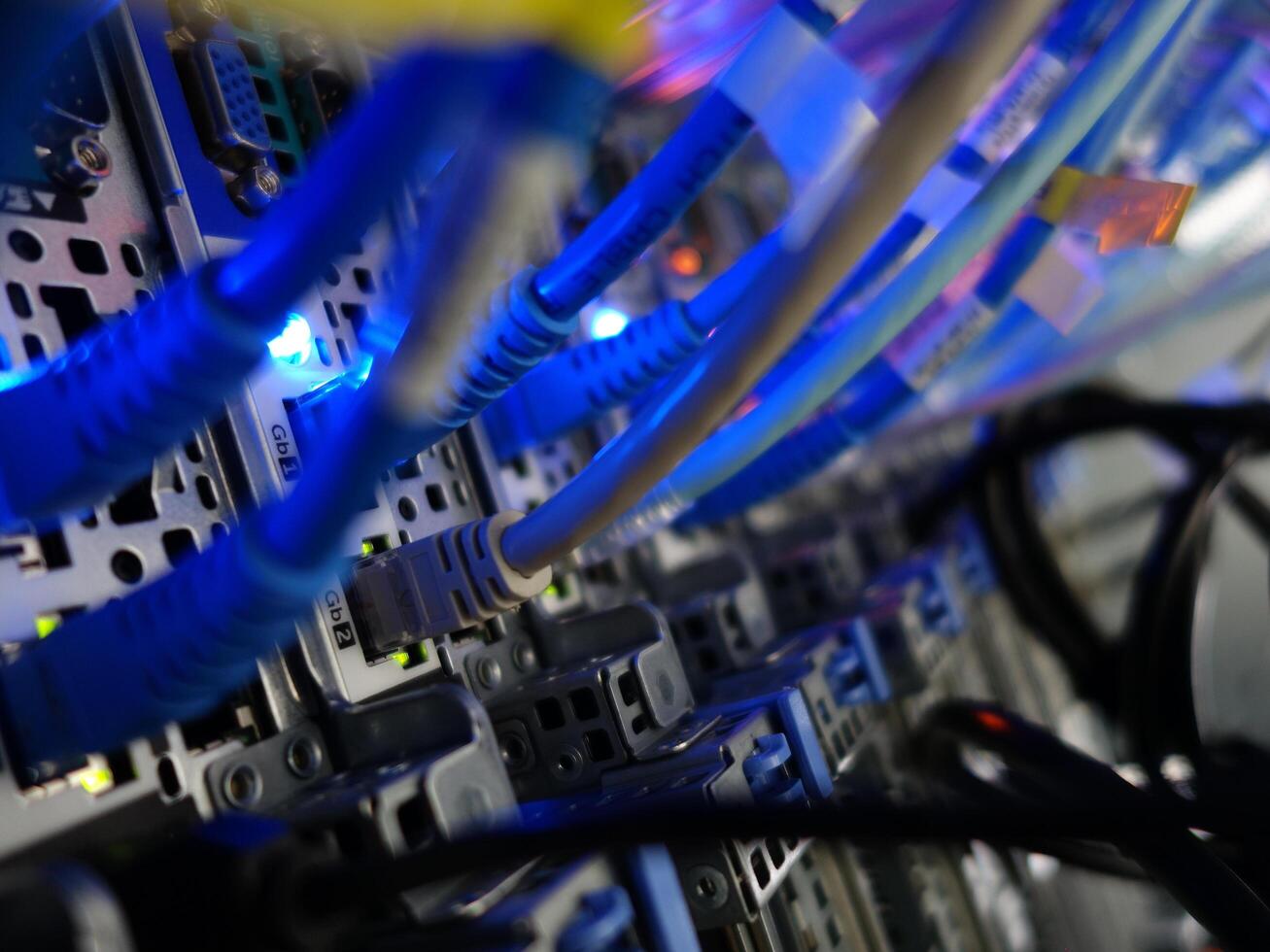 network cables connected to switch - closeup of data center hardware technology photo