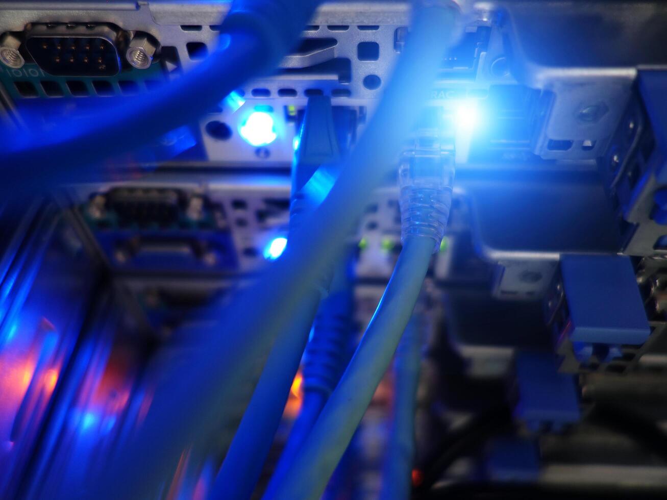 network cables connected to switch - closeup of data center hardware technology photo