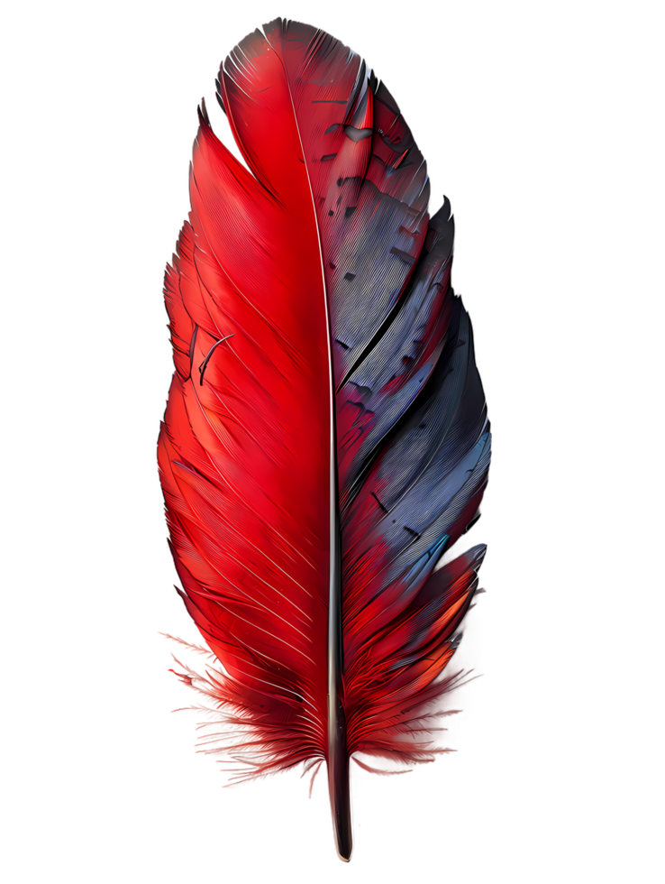 a red feather on a transparent background png