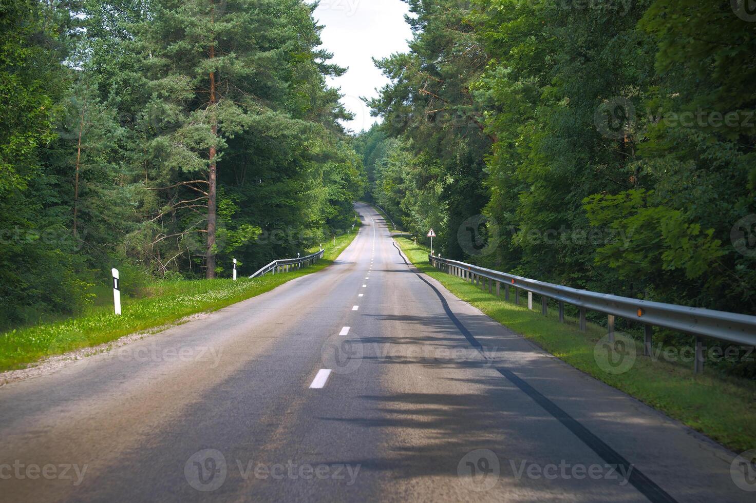 Quiet empty road in lush green forest during summer day with clear sky photo