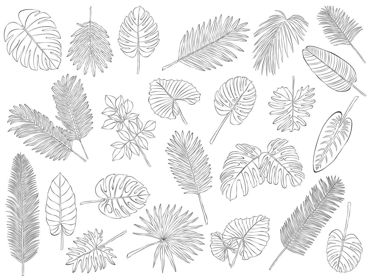 23 Tropical Leaves in doodle style. Palm leaves, Hand drawn black line design elements. Exotic summer botanical illustrations. vector