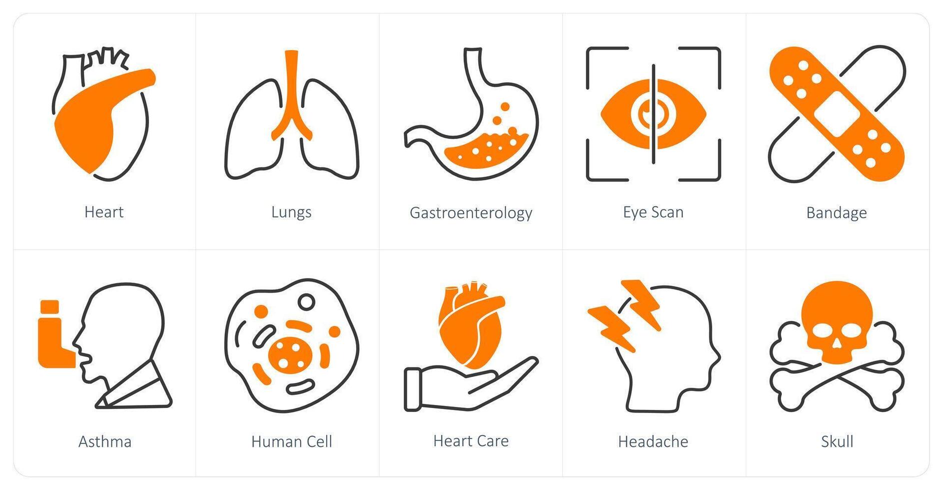 A set of 10 Medical icons as heart, lungs, gastronterology vector
