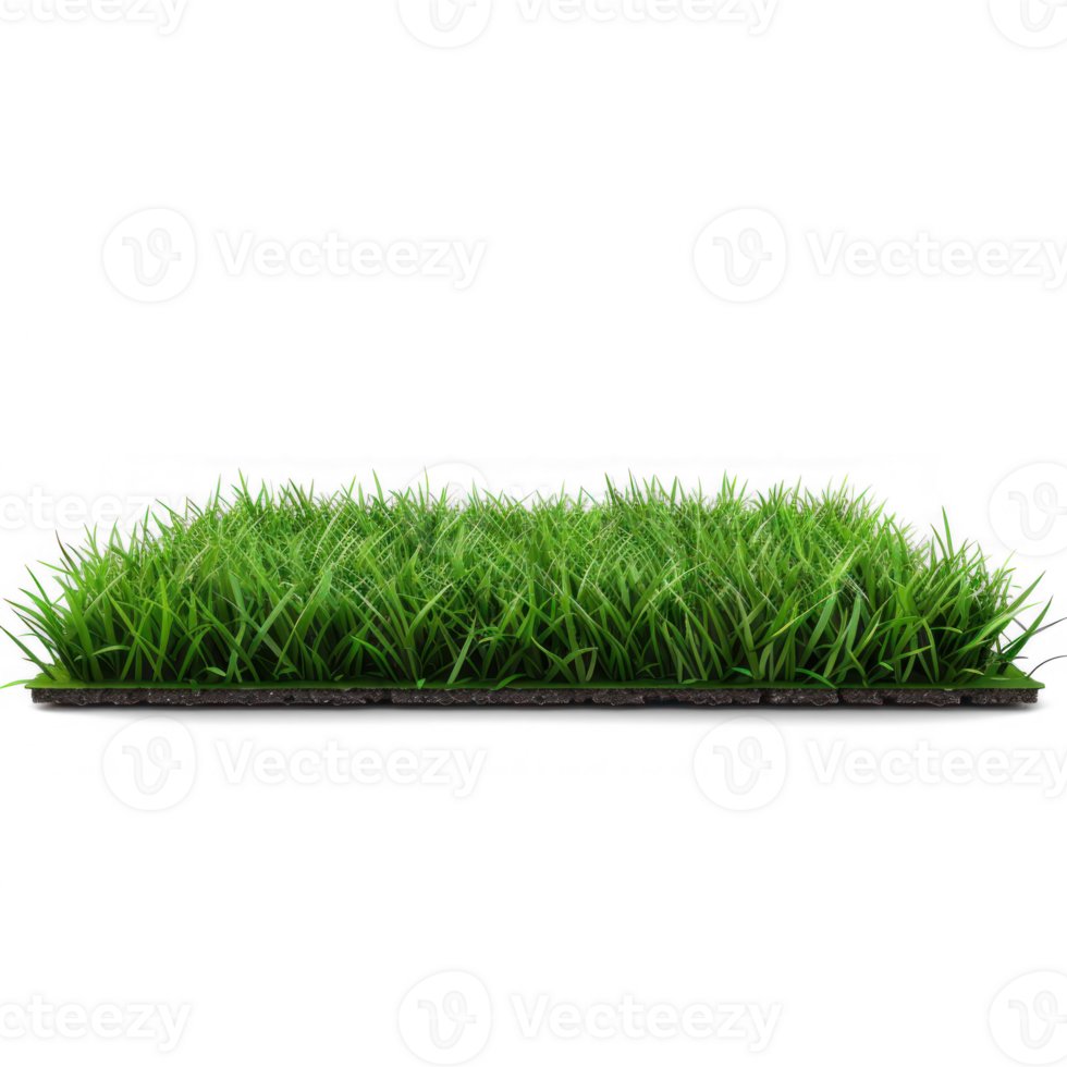 green grass on a round plate, isolated on transparent background png