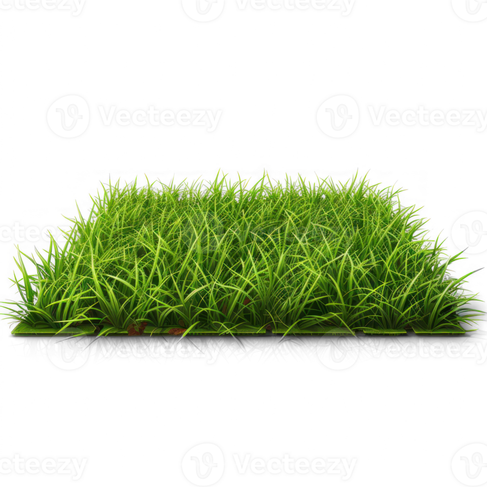 green grass on a round plate, isolated on transparent background png