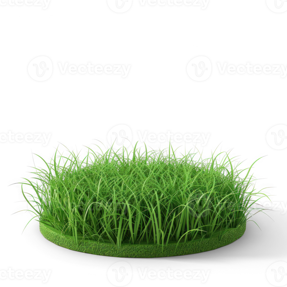 green grass on a round plate, isolated on transparent background png