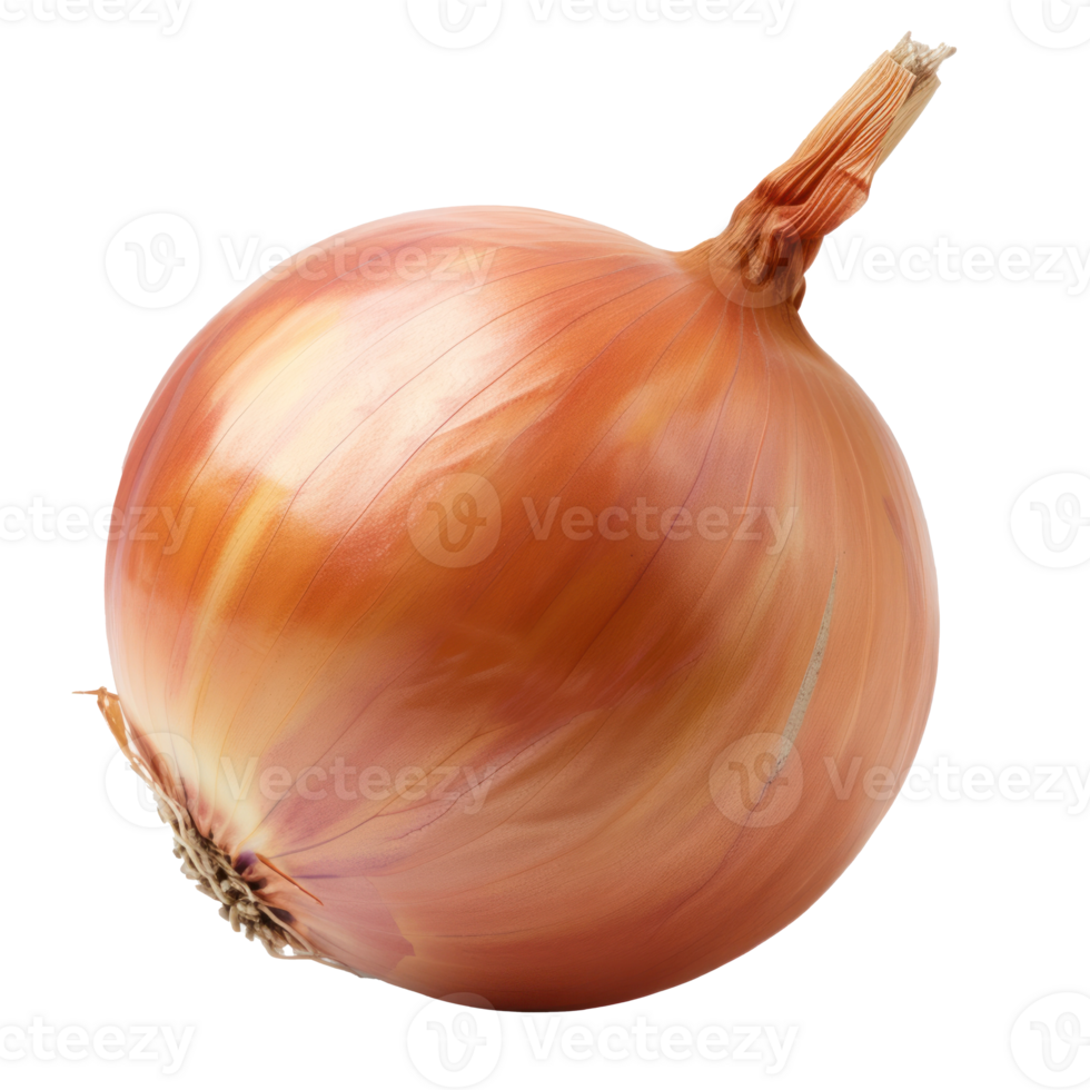 an onion is shown on a transparent background png