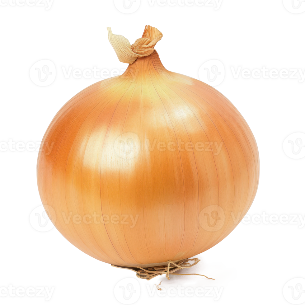 an onion is shown on a transparent background png