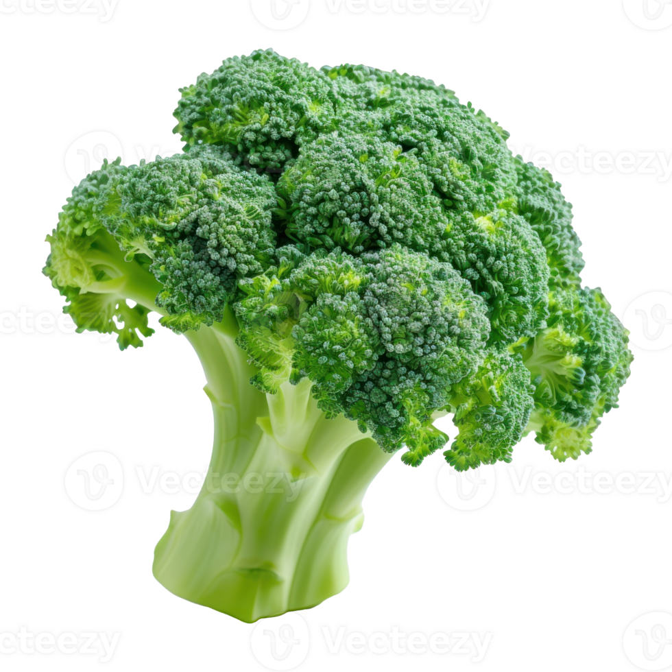 broccoli on a transparent background png