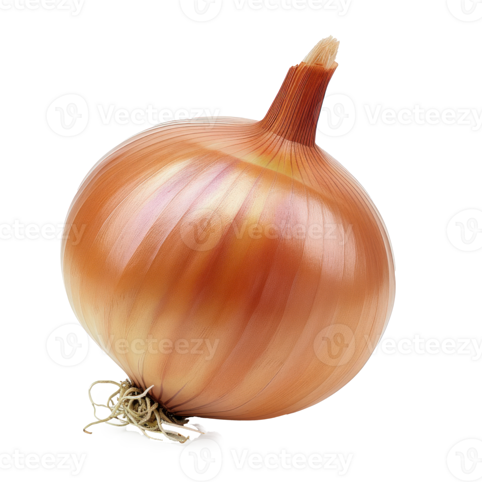 an onion is shown on a transparent background png