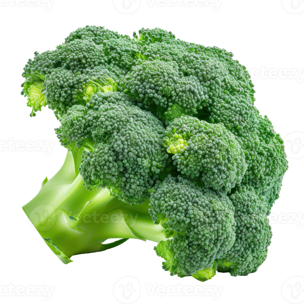 broccoli on a transparent background png
