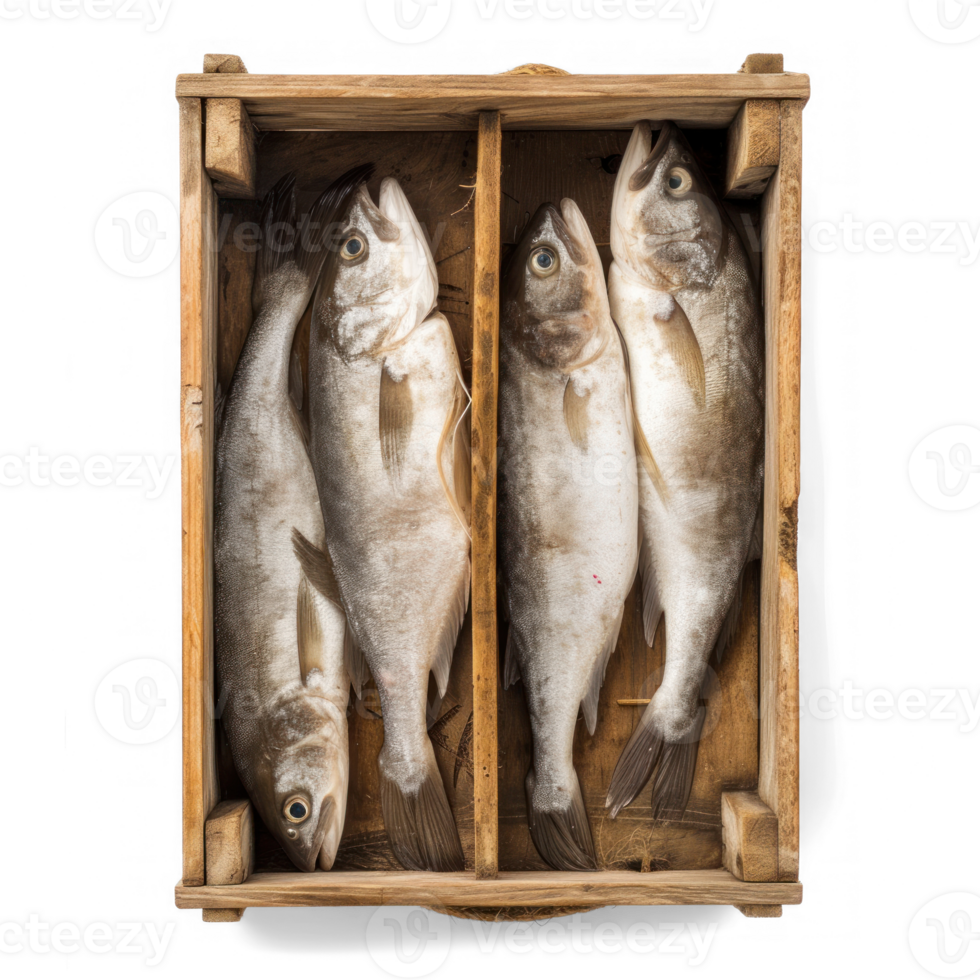 fish in a wooden box on transparent background png