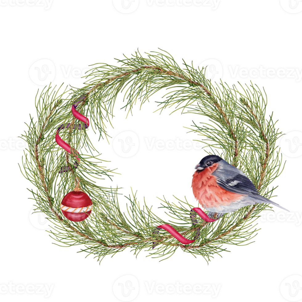 Christmas wreath with hand drawn pine branches and cones, ribbon decorations and a finch bird. Watercolor illustration isolated from background. Copy space winter holidays postcard, invitation design png