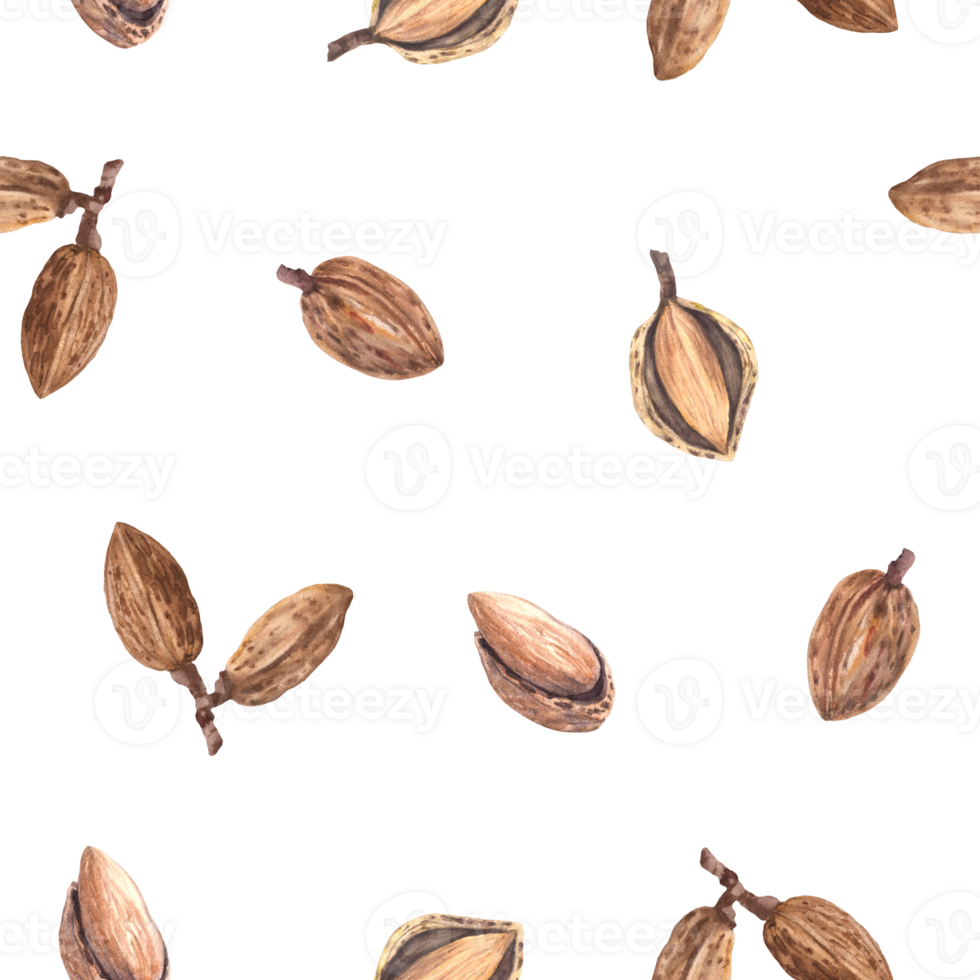 Almonds nut in nutshell Watercolor seamless pattern. Hand painted kernel. Organic vegetarian Food. Healthy harvest, unpeeled stone fruit clipart on isolated background for wallpaper, packaging, fabric png