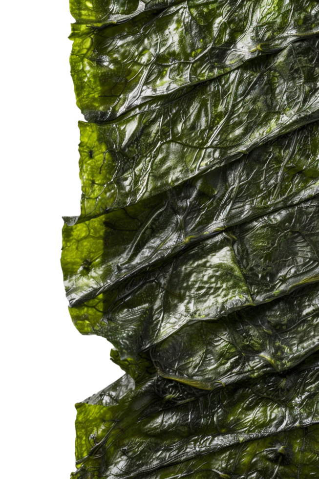 Nori Seaweed Sheets Isolated on transparent Background png