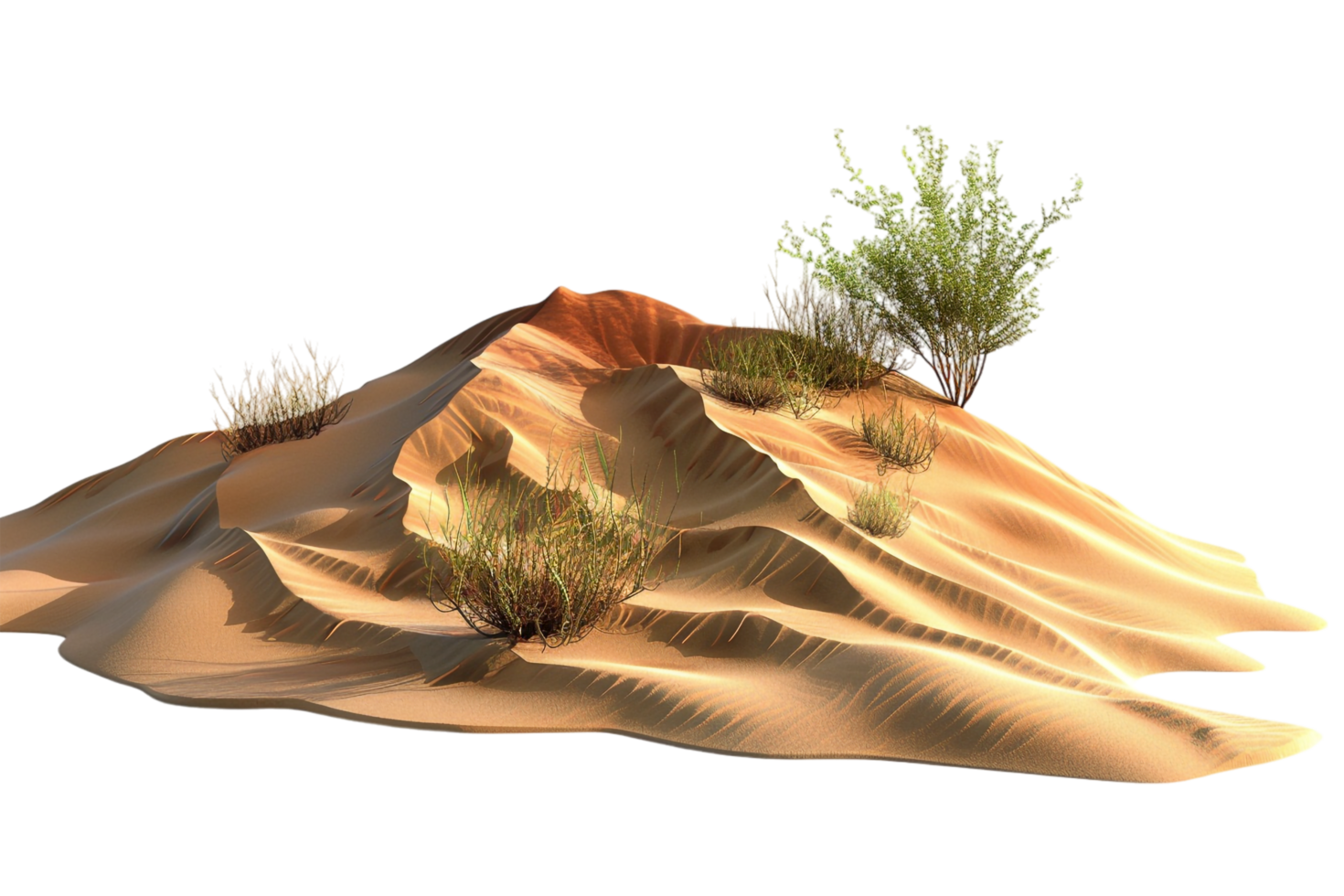 Desert isolated on transparent background png