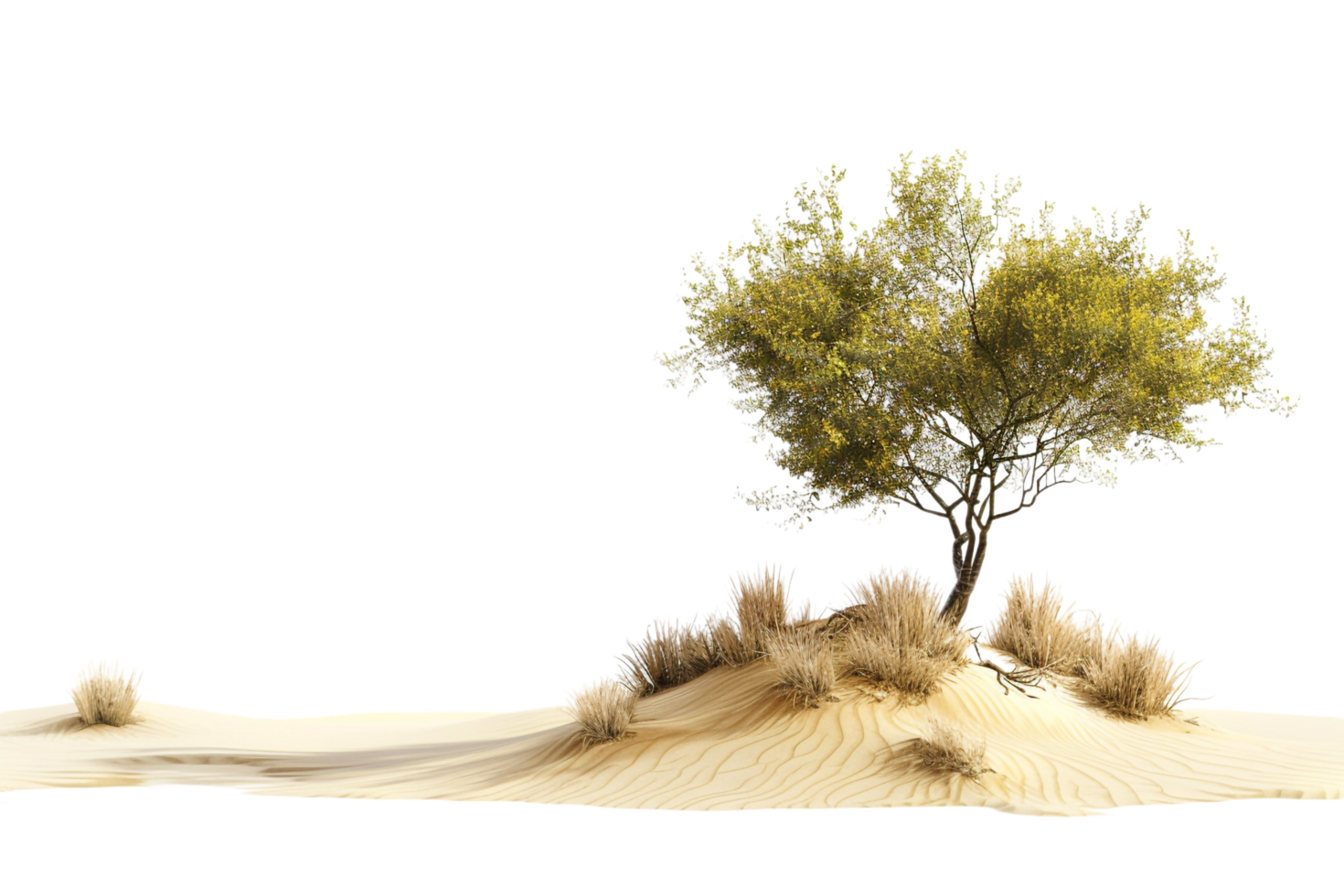 Desert isolated on transparent background png